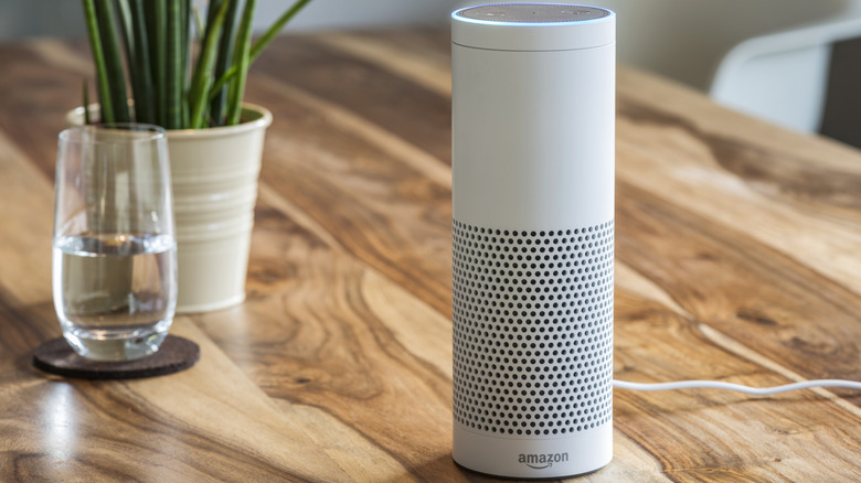 Amazon Echo Plus next to a houseplant and a glass of water.