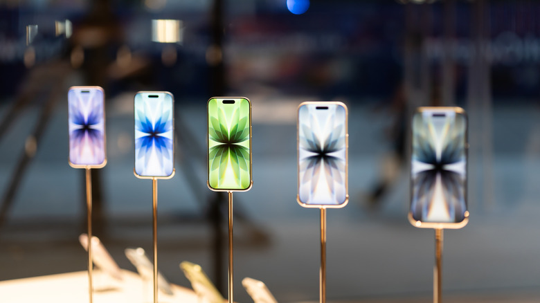 Standard iPhone 17 models on display in a store.