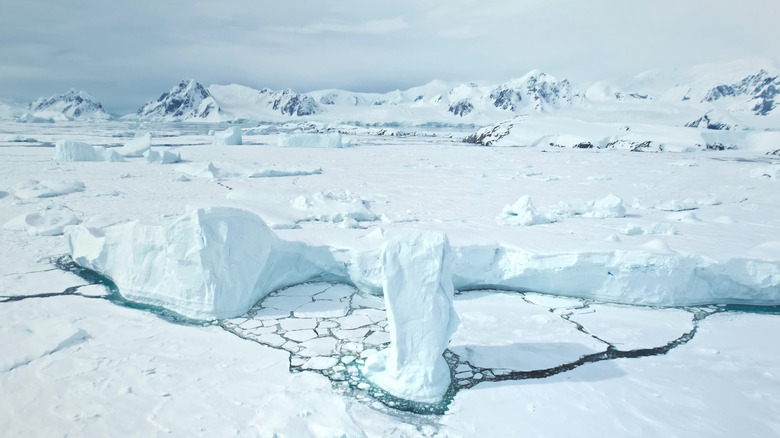 Frozen arctic landscape