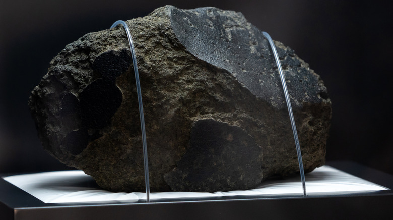 A gray meteorite on display at a museum