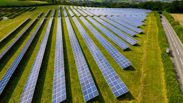 A solar farm next to a road.
