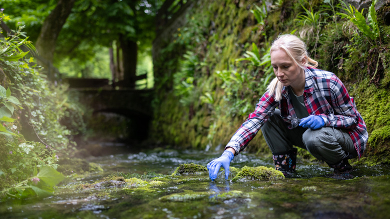 a female scientist studying a river's ecosystem
