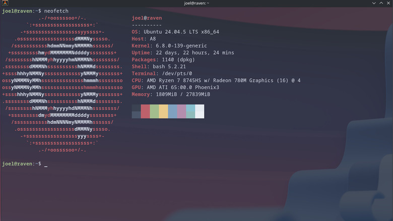 Terminal showing an Ubuntu Server neofetch, displaying specs and uptime