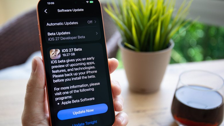 An iPhone 17 Pro user installing the iOS 27 beta on the handset.
