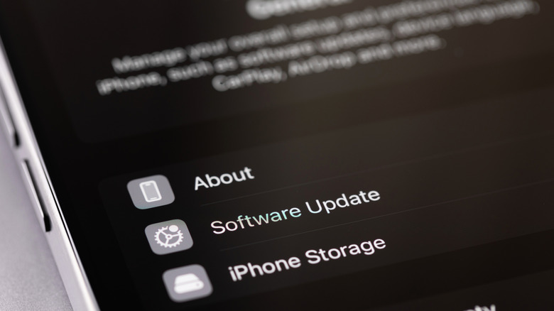 A close-up of an iPhone screen showing iOS settings