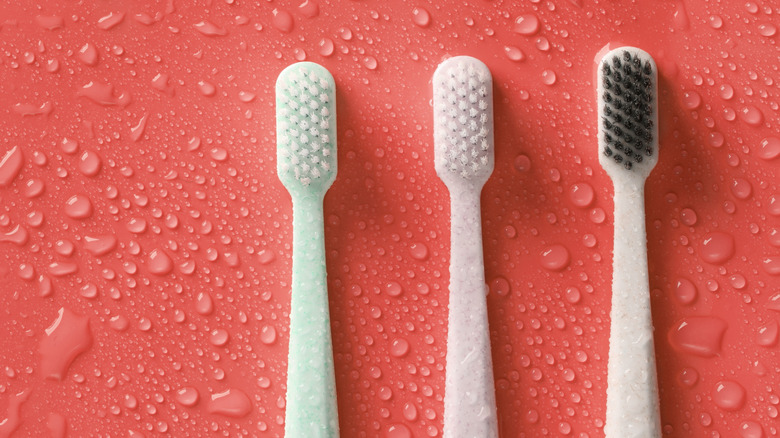 Three manual toothbrushes placed against a red backdrop.