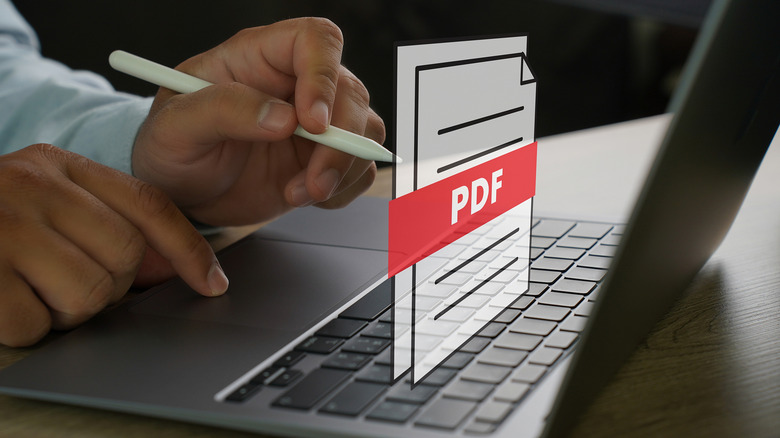A person working on a laptop with a PDF icon on display