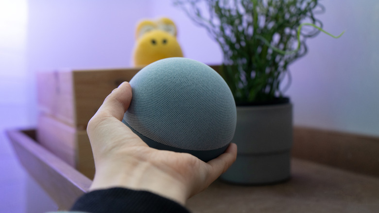 A closeup of an Amazon Echo Dot being held in a user's left hand, the hand and device are facing a table that contains a plant