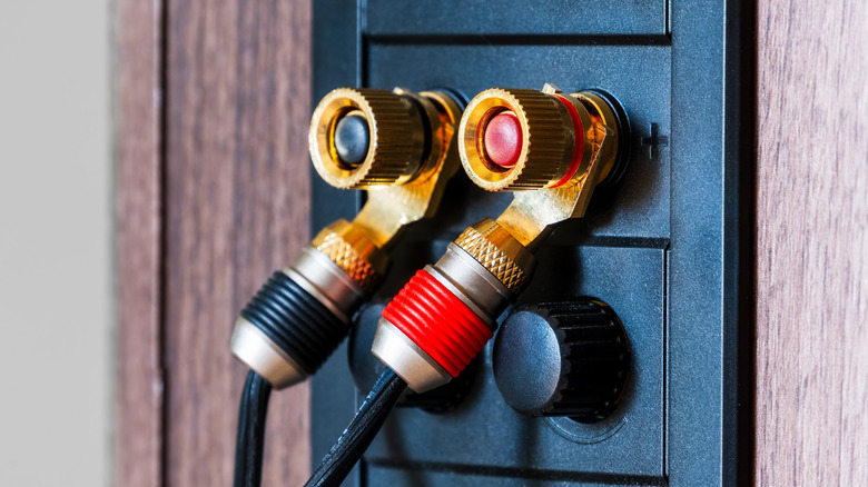 A set of speaker wires connected to binding posts on a speaker.