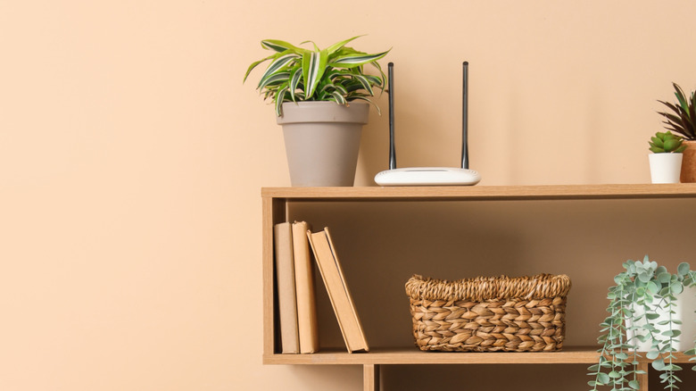 A Wi-Fi router on shelf beside a potted plant