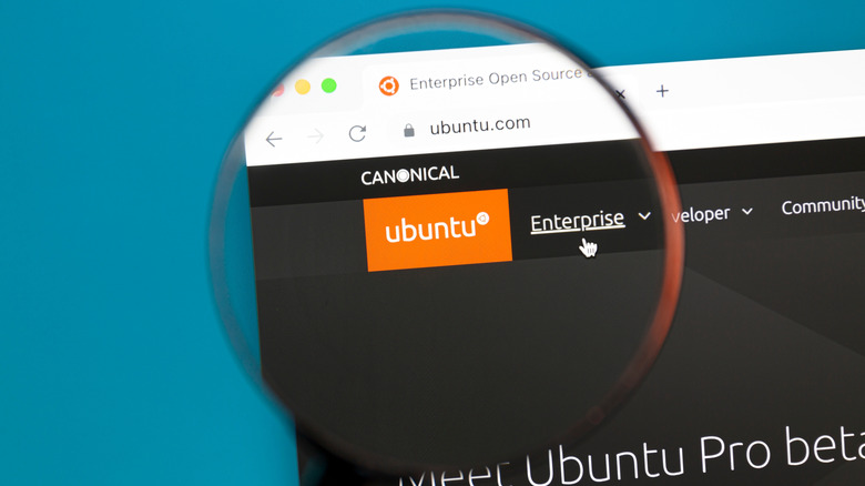 The Ubuntu logo under a magnifying glass