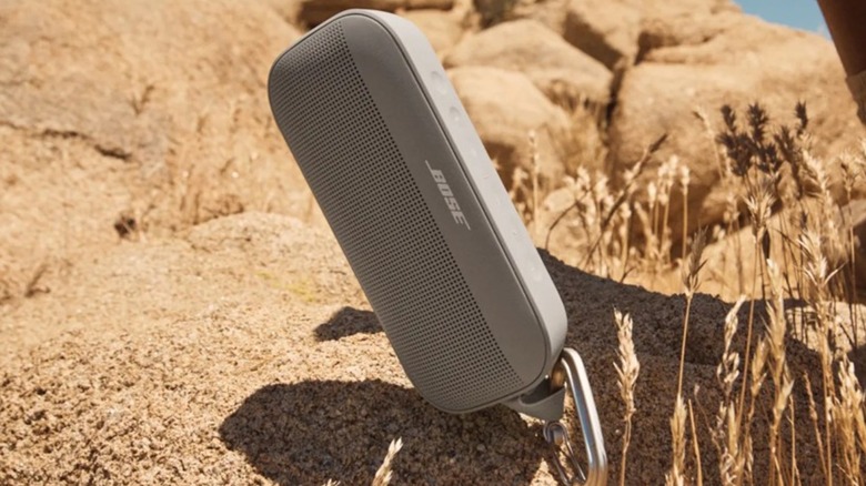 Sandstone Bose SoundLink Flex Portable Speaker in desert