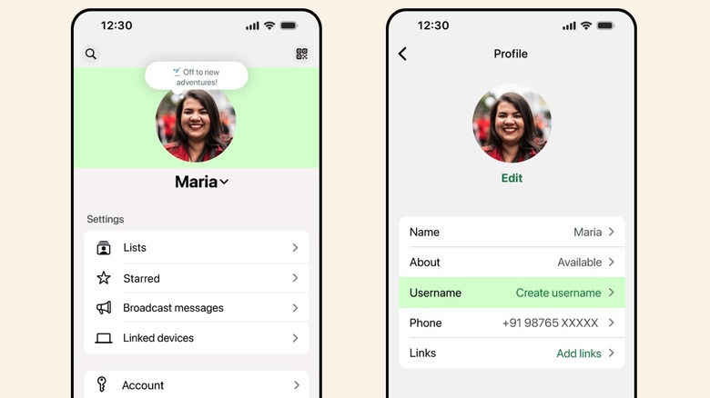 Creating or reserving WhatsApp usernames on iPhone.