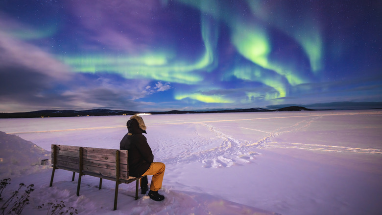 A person looking at the aurora borealis on a bench