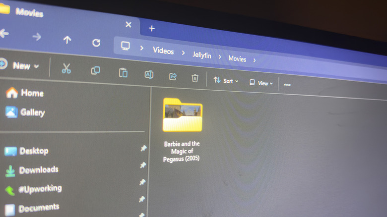 Windows PC showing Jellyfin file organization