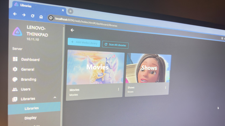 Computer showing Jellyfin library