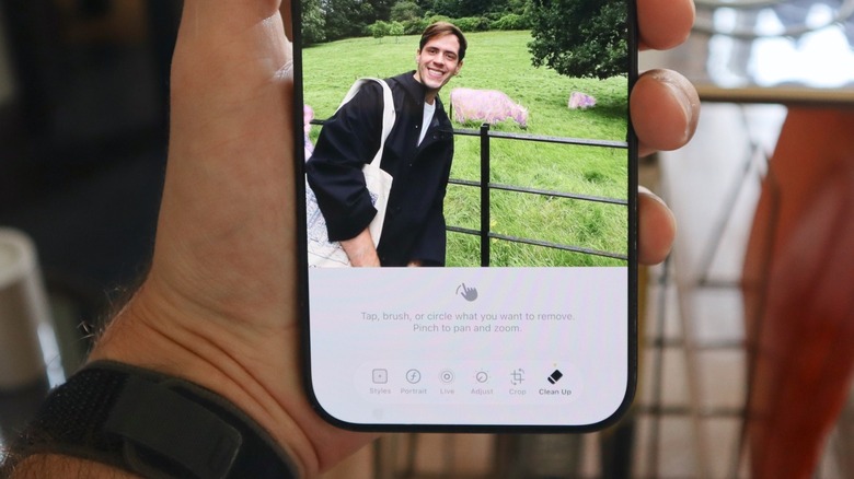 Clean Up tool's animation when removing an object from a photo