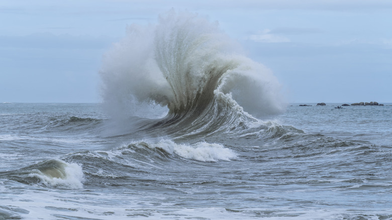 Ocean wave rising in fan shape