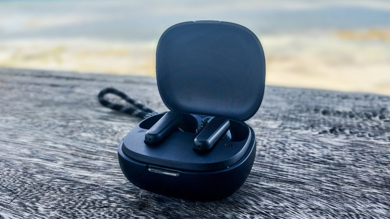Anker Soundcore earbuds resting outdoors.