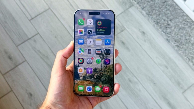 iPhone 17 Pro Max's Home Screen on iOS 26.1