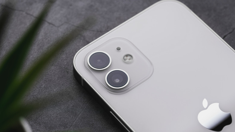 The back of an iPhone 12 showing the rear camera cluster.
