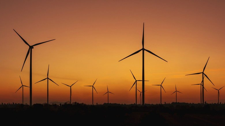 A wind farm at night
