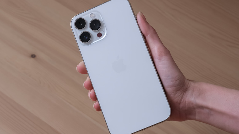 The iPhone 13 Pro Max in hand.