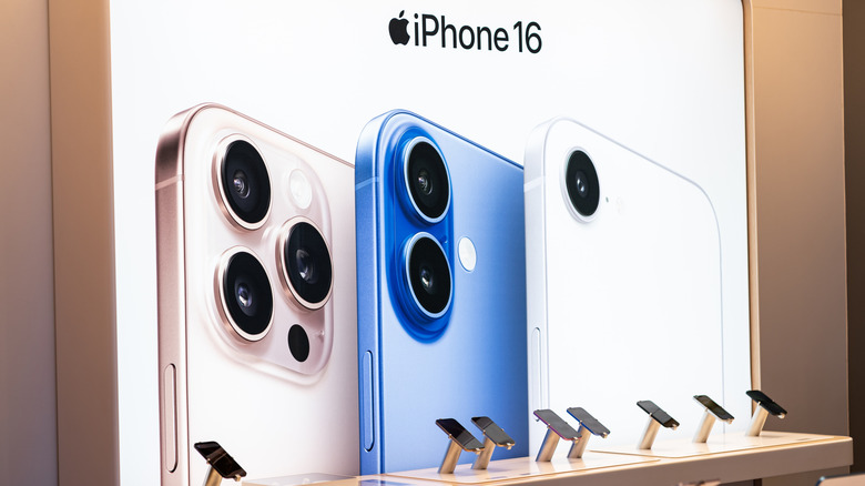 iPhone 16 models on display.