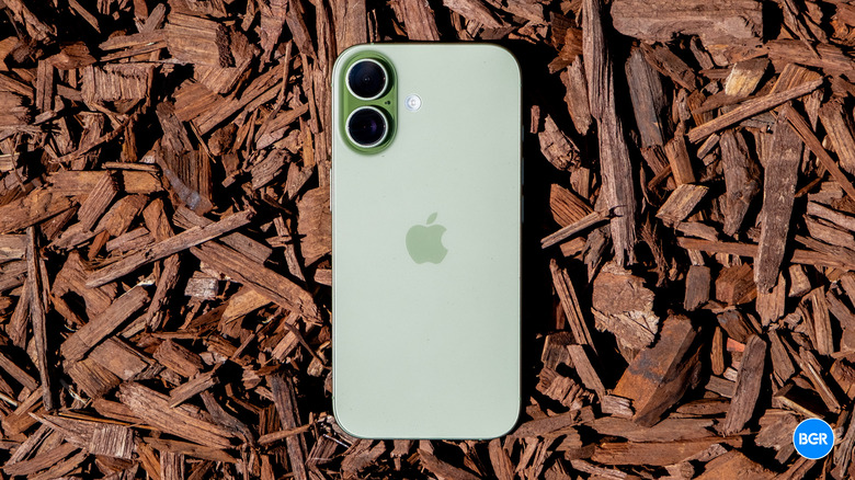 iPhone 17 on wood chips