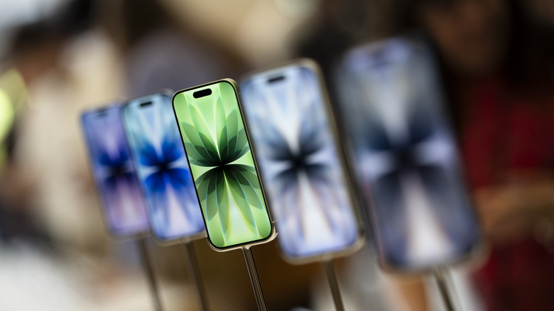 Five iPhone 17 models on display.