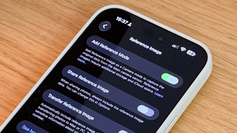 Close-up shot of Apple Reference Image settings