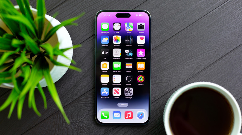 The Dynamic Island seen at the top of the iPhone 15 Pro.