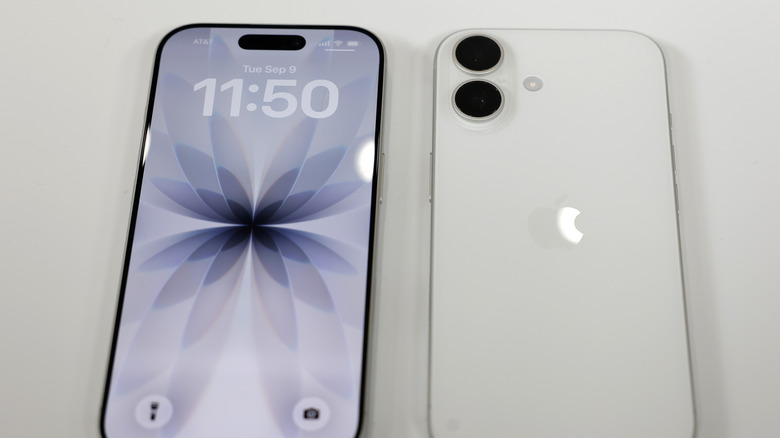 Standard iPhone 17 design: Front and back.