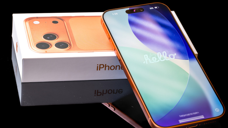 iPhone 17 Pro Max: Dynamic Island (Face ID and selfie camera) at the top.