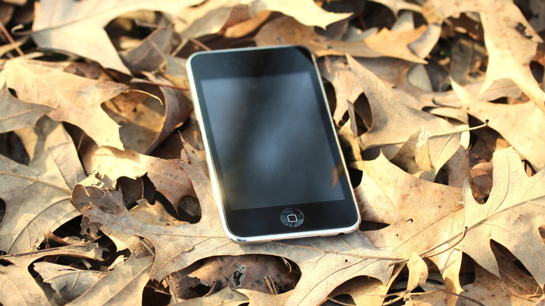 An iPod touch lying in a pile of leaves.