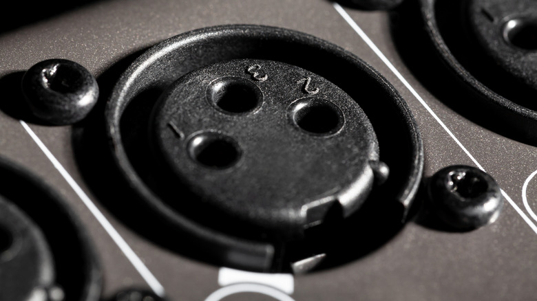 An XLR port for a high-end microphone