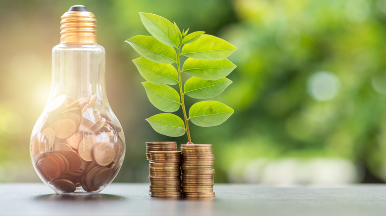A light bulb accompanied by coins and greenery represents the concept of saving energy and money