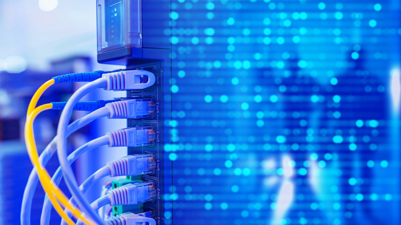 Network equipment featuring many Ethernet cables plugged into it