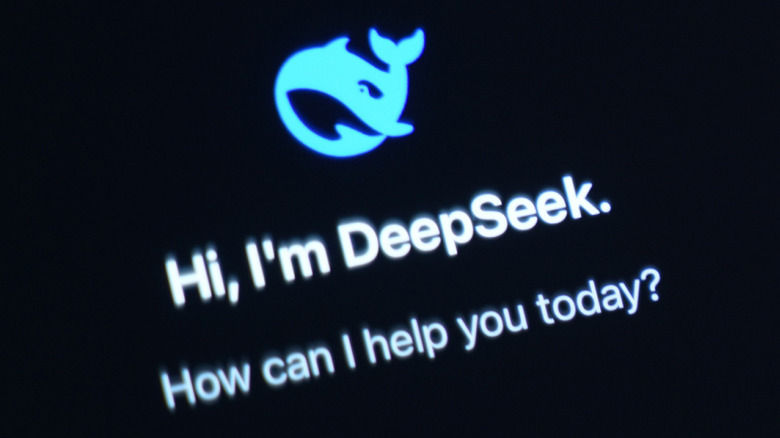 DeepSeek app greeting screen