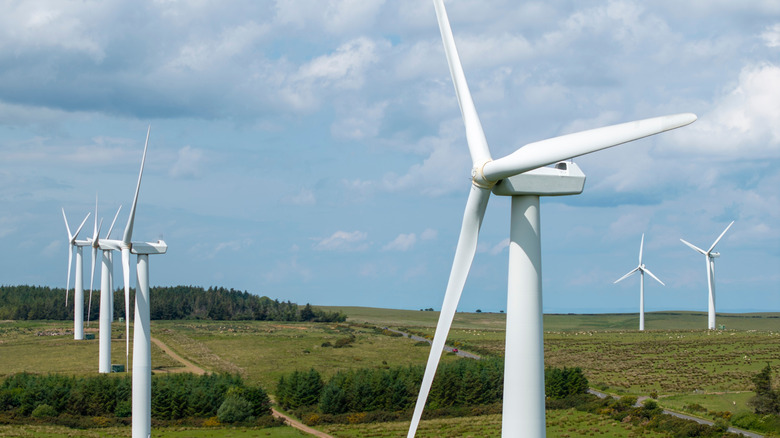 Wind turbines on a wind farm