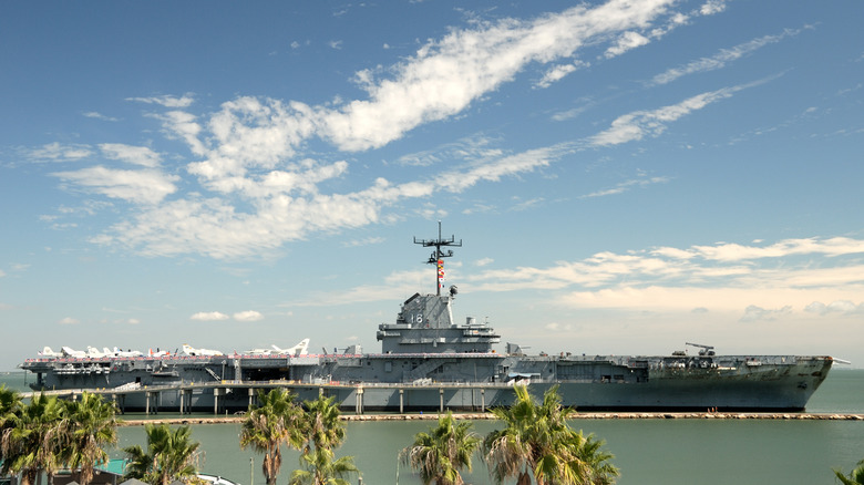 aircraft carrier sitting at dock near beach, trees visible in foreground