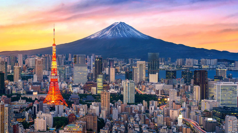 Aerial view of Tokyo with Mount Fuji in the background.