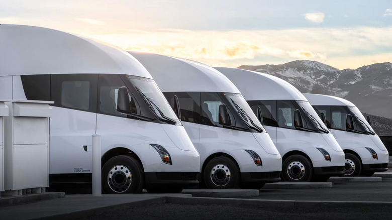 Tesla Semi trucks in a row