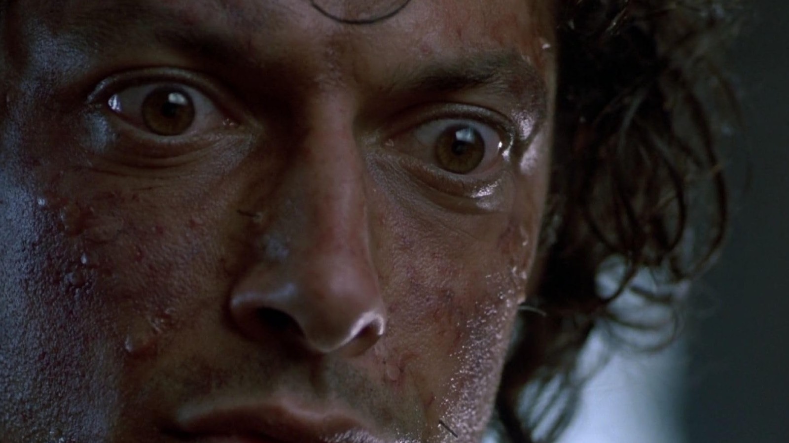 Jeff Goldblum's Incredible '80s Sci-Fi Body Horror Movie Doesn't Get Enough Love Today