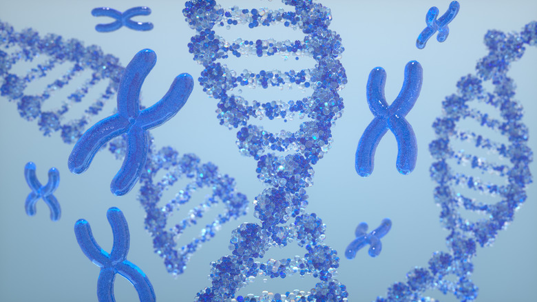 DNA and chromosome concept on light blue background