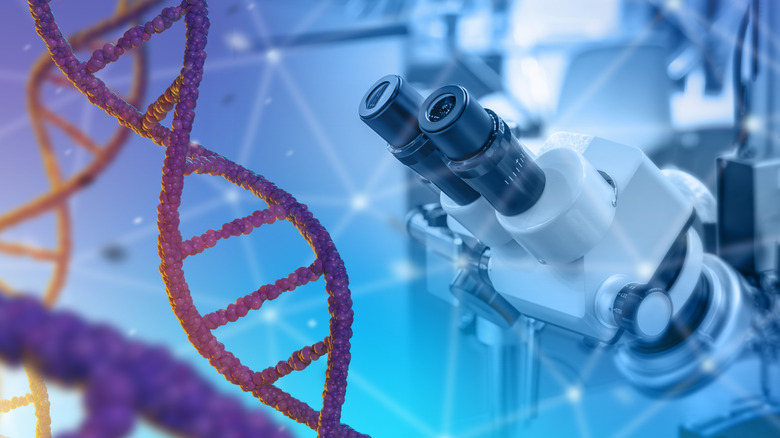 concept of DNA and studying the human genome in a lab with a microscope