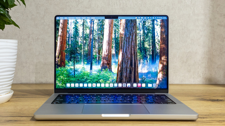 An Apple MacBook Pro M4 sitting on a wooden table next to a potted plant.
