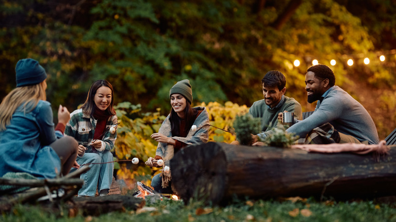 A group of friends roasting marshmallows at a camping site