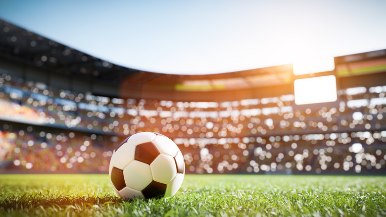 A soccer ball on a stadium's grassy field