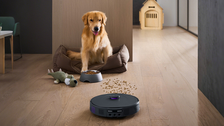The 3i P10 Ultra cleaning in front of a dog.